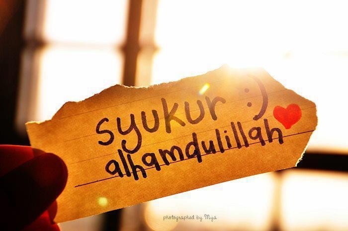 bdp,aimna