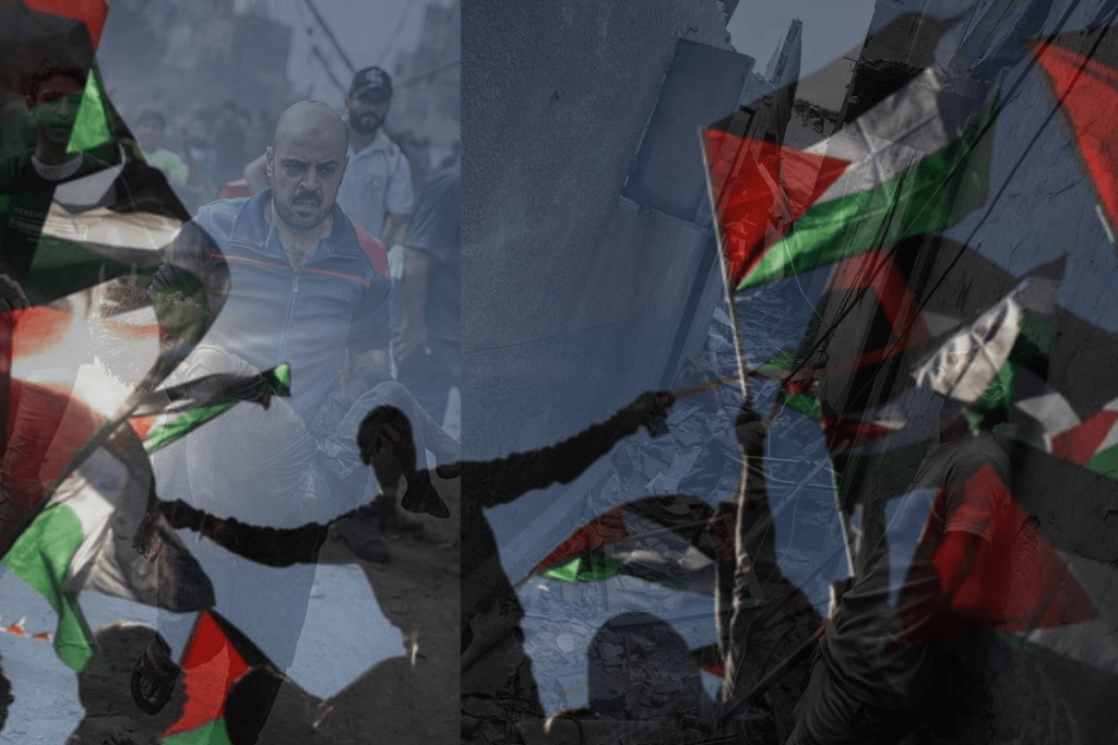 bdp,amina,palestina